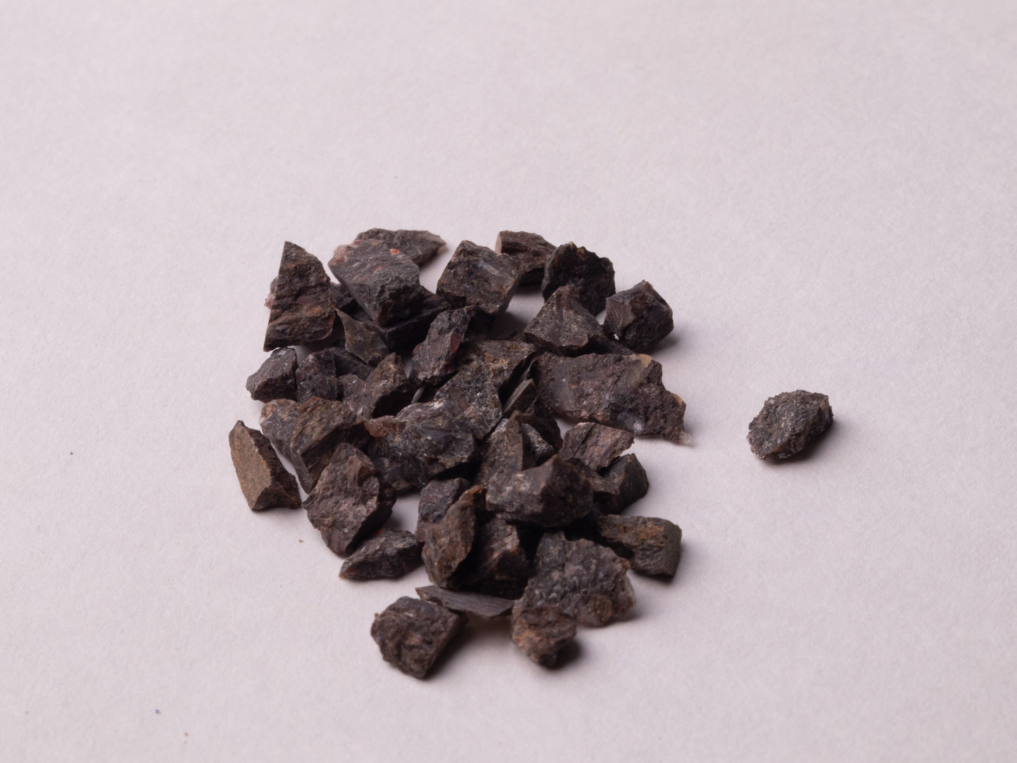 Dark Brown Dinosaur Bone