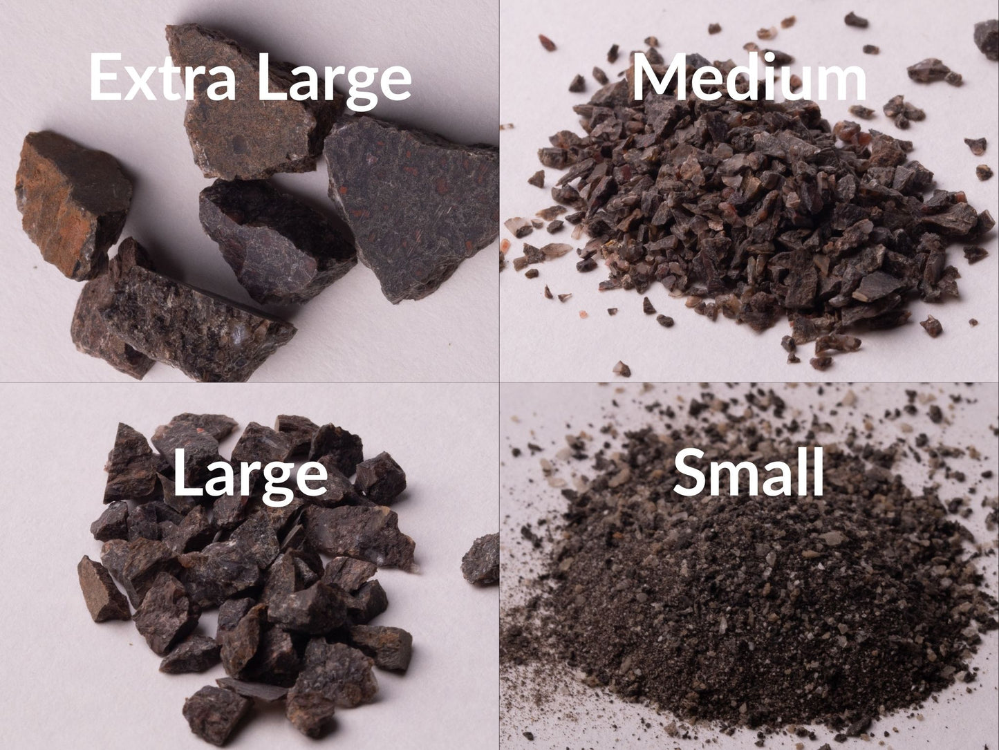 Dark Brown Dinosaur Bone