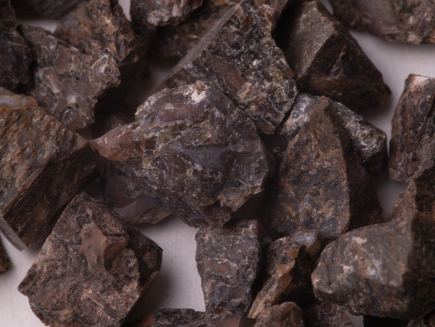 Dark Brown Dinosaur Bone