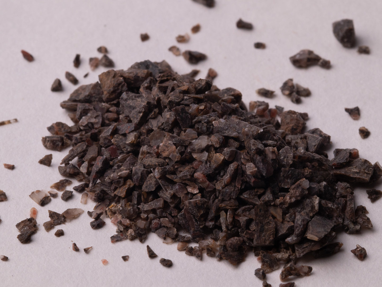 Dark Brown Dinosaur Bone