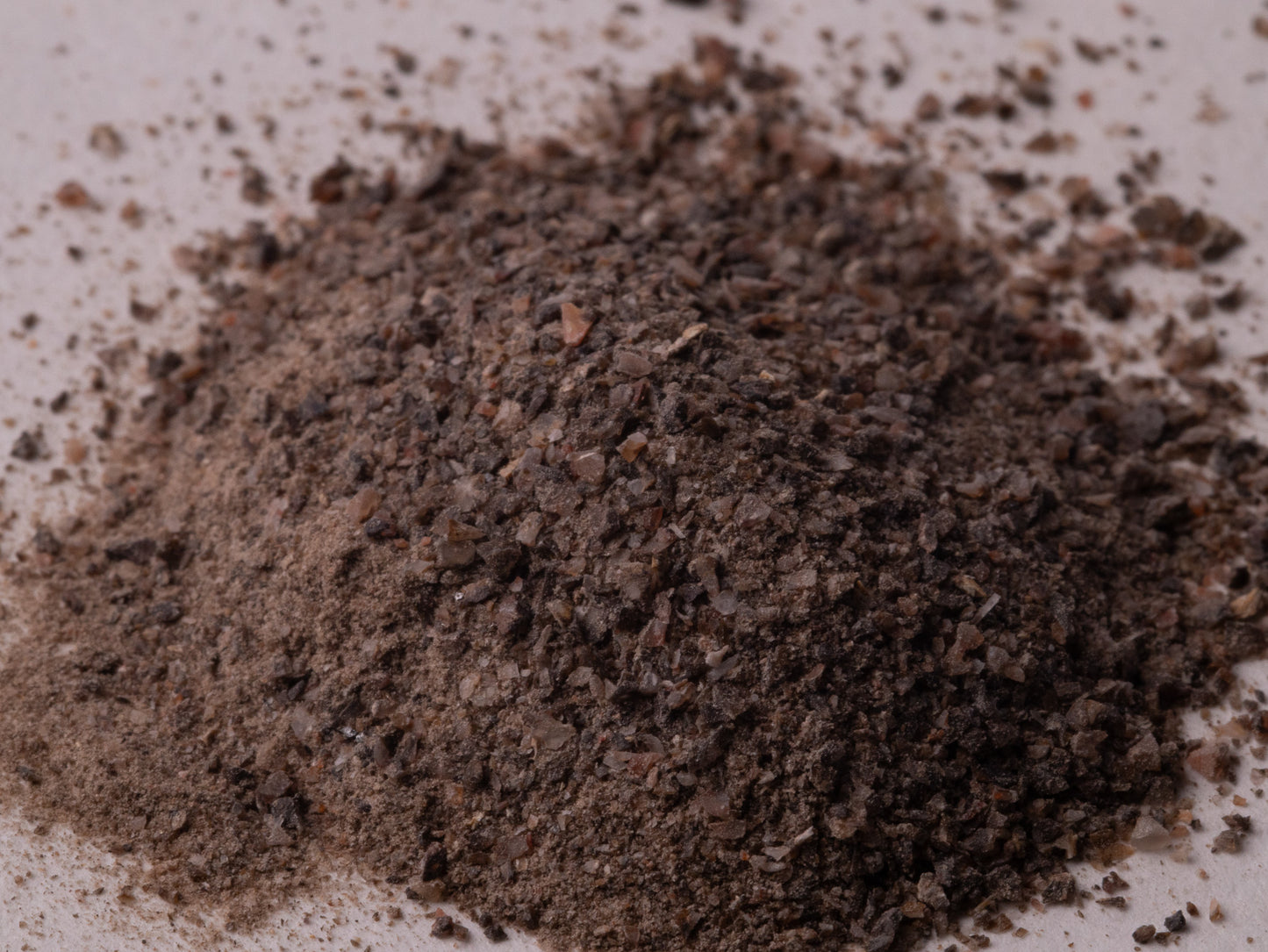 Dark Brown Dinosaur Bone